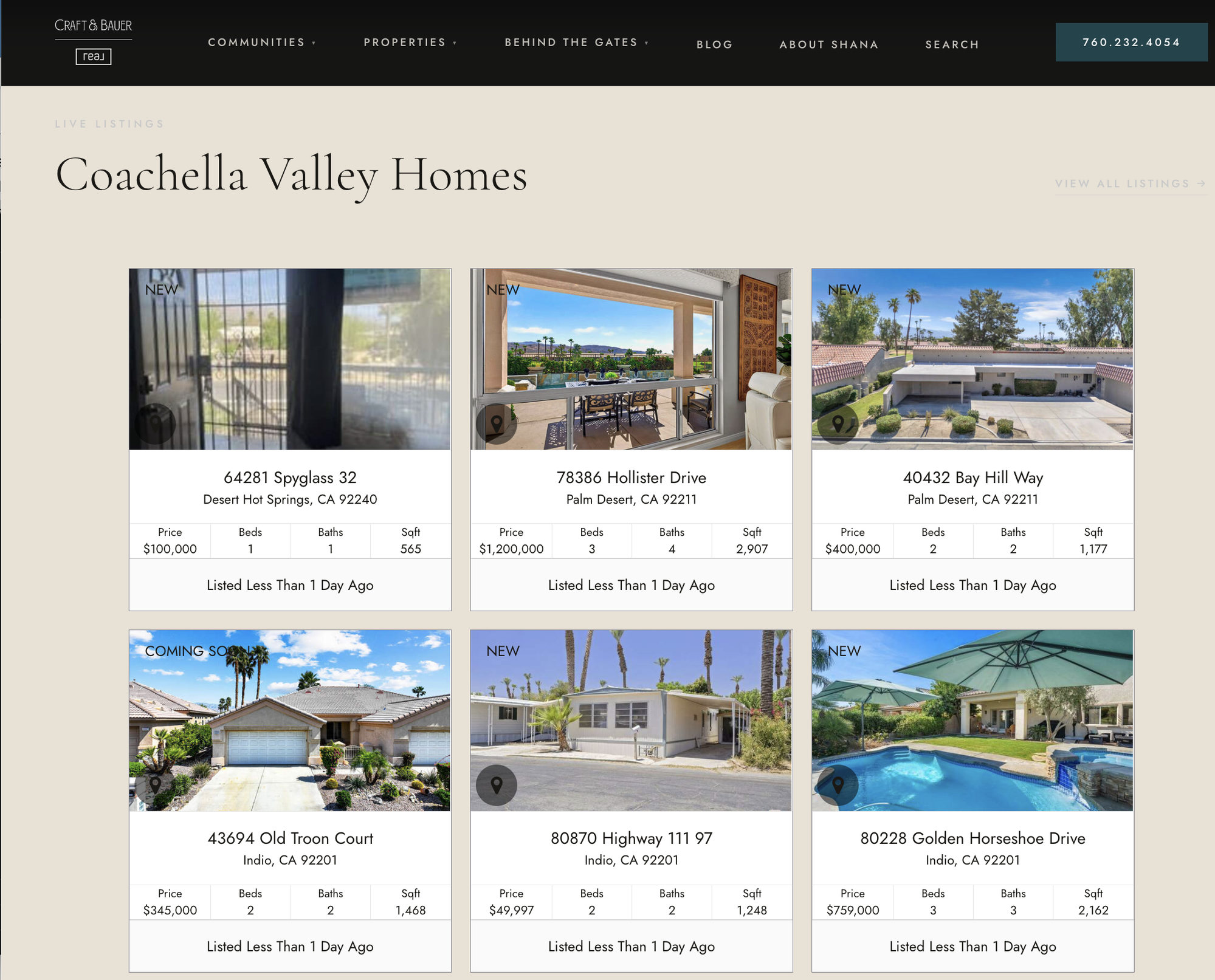 Live MLS home search on the agent's own domain