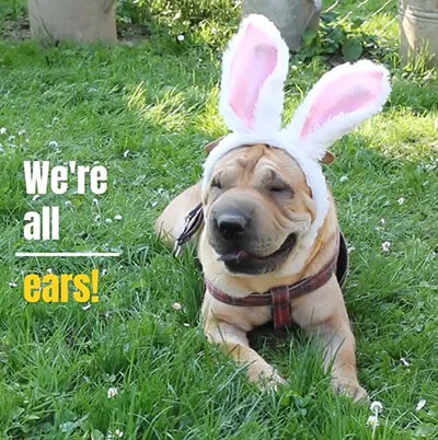 Seller - We're All Ears