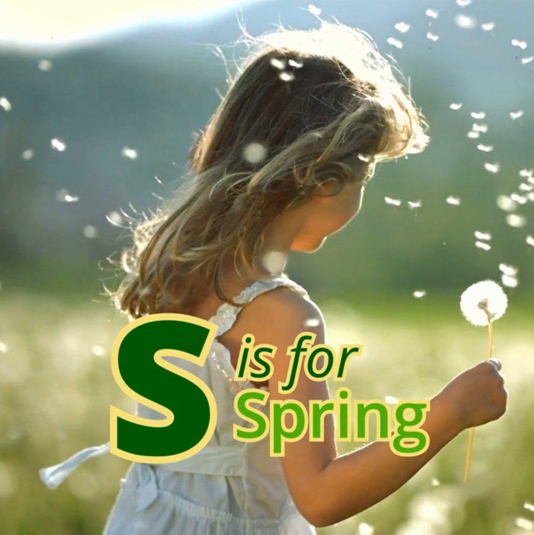 Seller - Spring