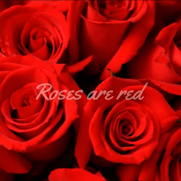 Roses