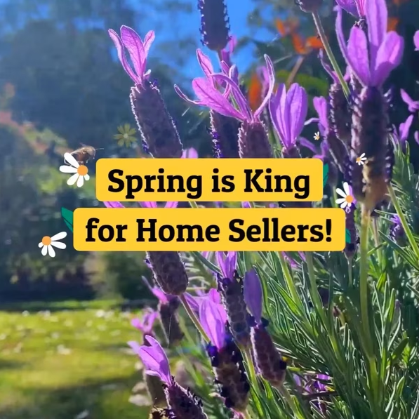 Spring Is King